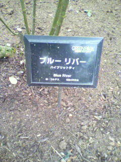 看板
