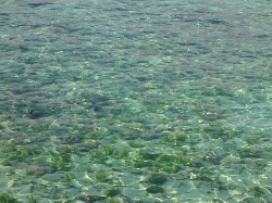古宇利大橋　の　海