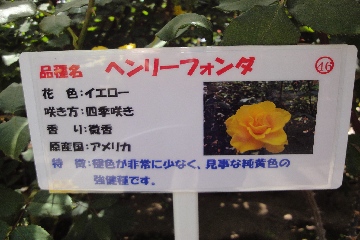 プレ～ト