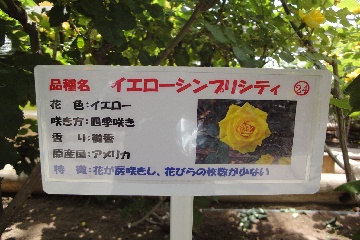 プレ～ト