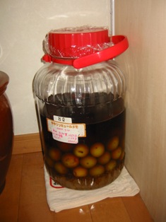 umeburande-syo.jpg
