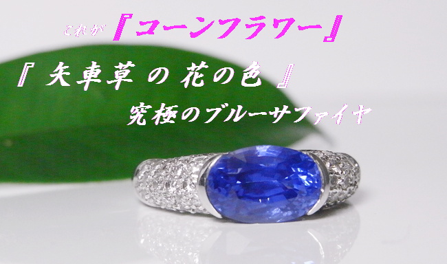 コーンフラワー ブルーサファイヤ が運ぶ 美しいひと時 | 横浜元町宝石店長のブログ - 楽天ブログ