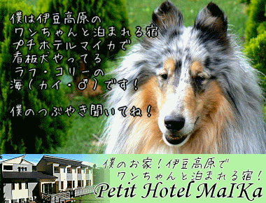 Petit Hotel MaIKa