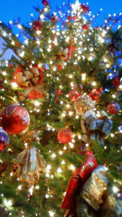 DSC00061.JPG