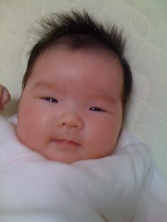 生後1ヶ月のゆんちゃん