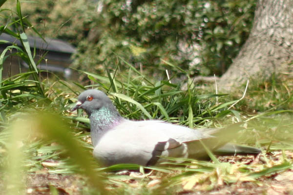 IMG_8386.JPG