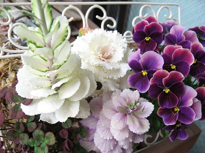 ２０１１．４寄せ植え