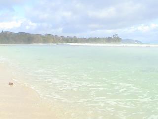 穏やかそうでも波は荒く