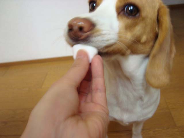 DSC00379.JPG
