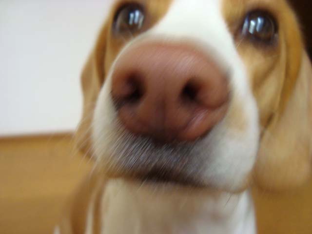 DSC00378.JPG