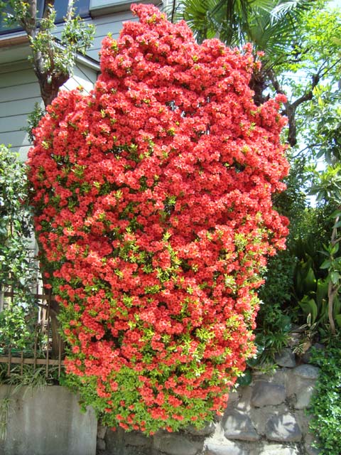 DSC00400.JPG
