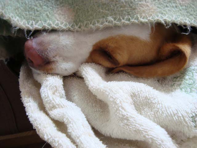 DSC03429.JPG