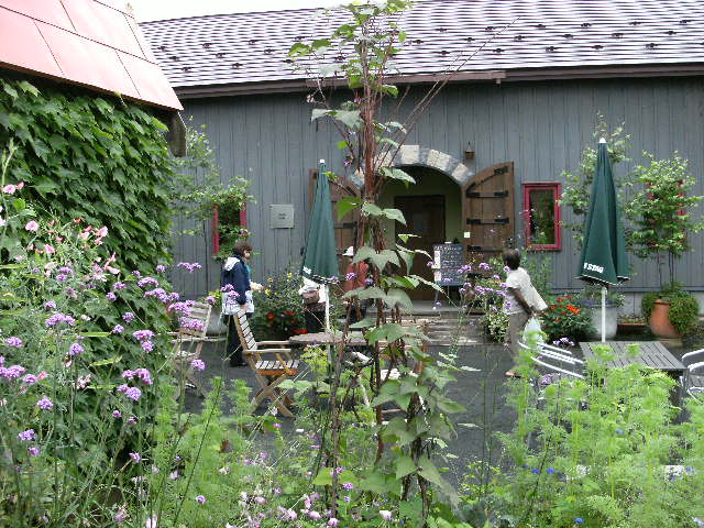 DSCF0611.JPG