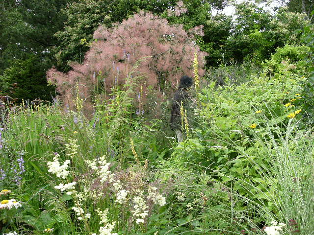 DSCF0603.JPG
