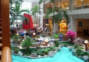 20070310沖縄066
