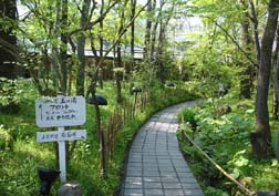 20070427湯布院_29