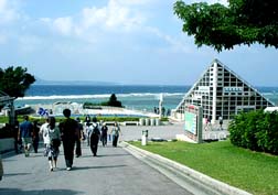 20071111美ら海水族館_13