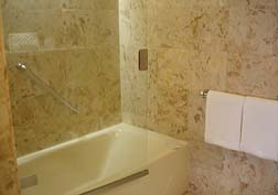 20071110ｻﾞ･ﾅﾊﾃﾗｽ_8