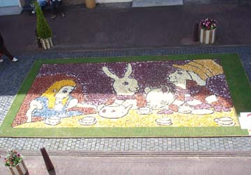 20050505ﾊｳｽﾃﾝﾎﾞｽ06
