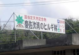 20070310沖縄056