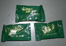 20070617観光列車_73