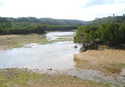 20070310沖縄057