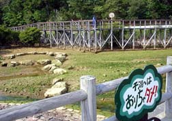 20070310沖縄059