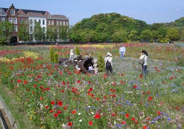 20050505ﾊｳｽﾃﾝﾎﾞｽ13