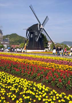 20050505ﾊｳｽﾃﾝﾎﾞｽ16