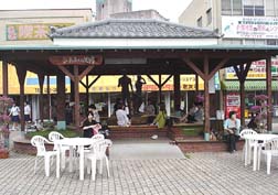 20070616観光列車_43