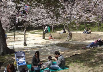 20060331西公園3