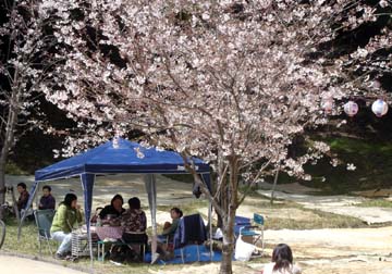 20060331西公園4