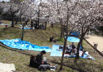 20060331西公園6
