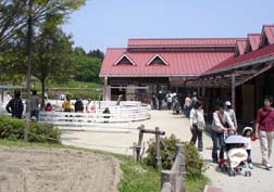 20080429もーもーらんど_07