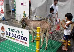 20071007勝鷹夢まつり_13