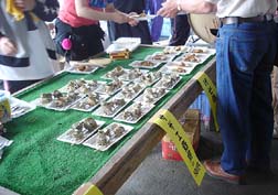 20070527筑前玄海魚まつり_03