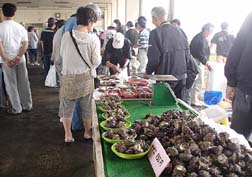 20070527筑前玄海魚まつり_04