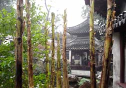 20070103上海76