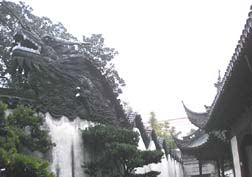 20070103上海77