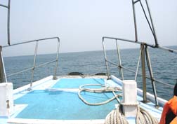 20070527筑前玄海魚まつり_07
