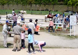 20080429もーもーらんど_13