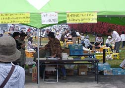 20080427道の駅大和_2