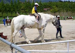 20080429もーもーらんど_14