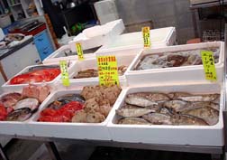 20070312沖縄36