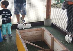 20080914ｷｬﾝﾌﾟ_11