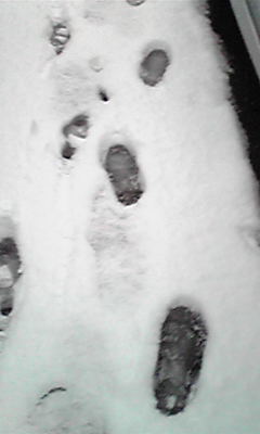 snow