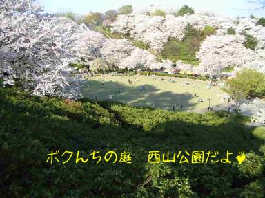 西山公園