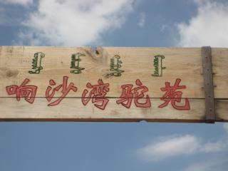 dalat11