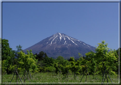 富士山　南西　18