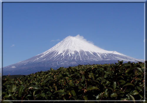 富士山　南西　14